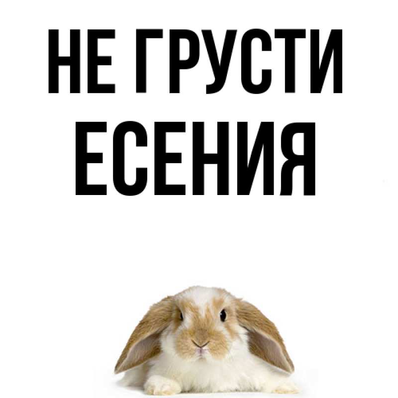 Картинка Не грусти, Есения