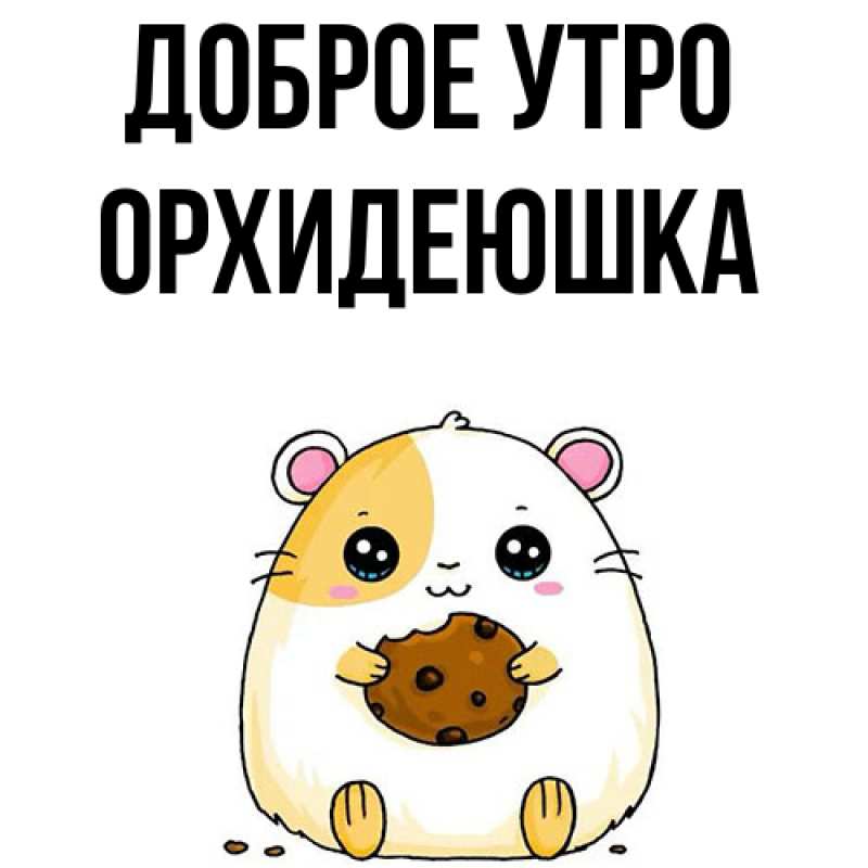 Картинка Доброе утро, Орхидеюшка