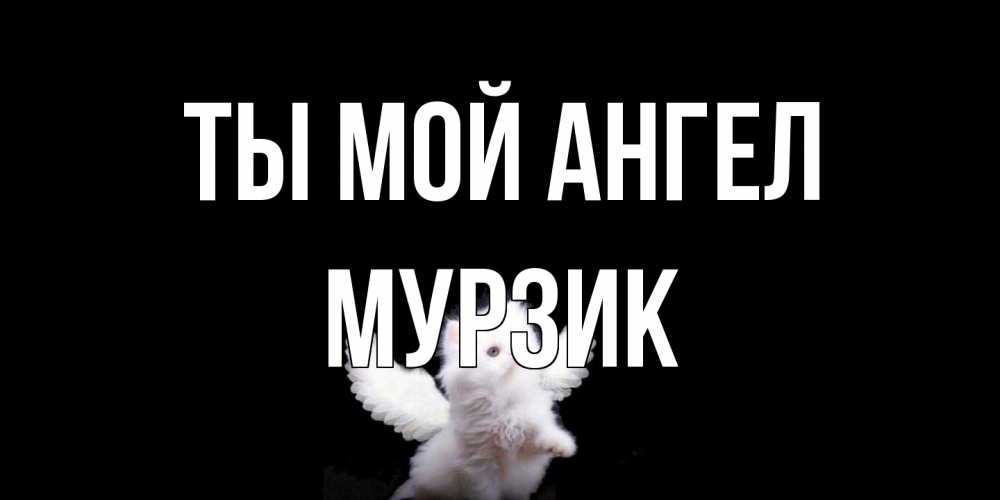 Открытка на каждый день с именем, Мурзик Ты мой ангел Кот ангел Прикольная открытка с пожеланием онлайн скачать бесплатно 