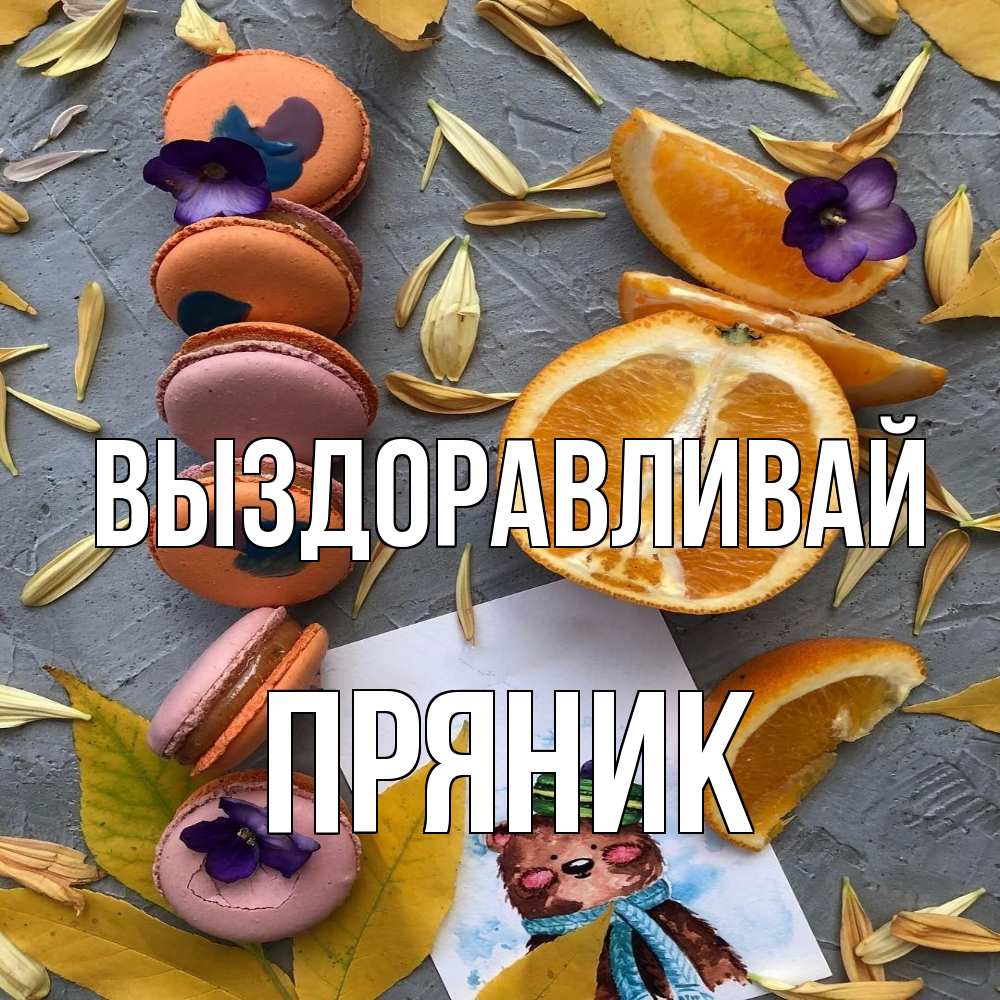 Открытка на каждый день с именем, Пряник Выздоравливай не болейте Прикольная открытка с пожеланием онлайн скачать бесплатно 