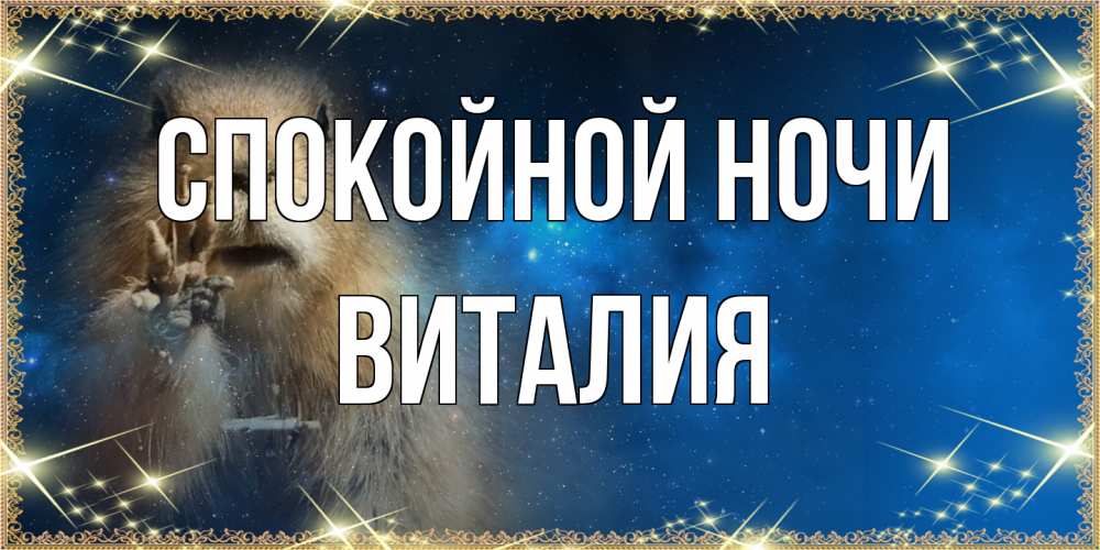 Открытка на каждый день с именем, Виталия Спокойной ночи спокойной ночи сладких снов Прикольная открытка с пожеланием онлайн скачать бесплатно 