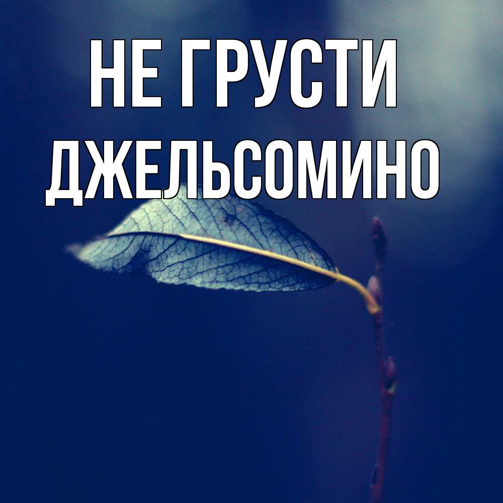 Открытка на каждый день с именем, Джельсомино Не грусти растение Прикольная открытка с пожеланием онлайн скачать бесплатно 