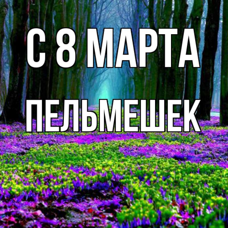 Картинка C 8 МАРТА, пельмешек