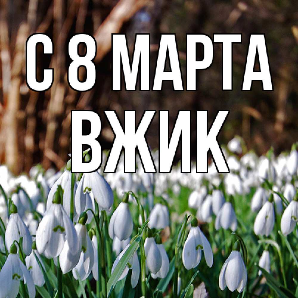 Открытка на каждый день с именем, Вжик C 8 МАРТА с подснежниками 1 Прикольная открытка с пожеланием онлайн скачать бесплатно 