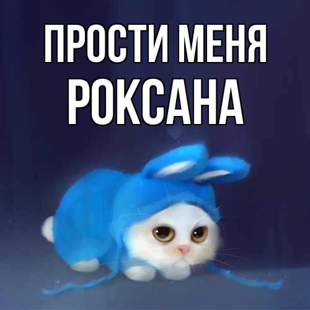 Открытка на каждый день с именем, Роксана Прости меня невинный котозай просит прощения Прикольная открытка с пожеланием онлайн скачать бесплатно 