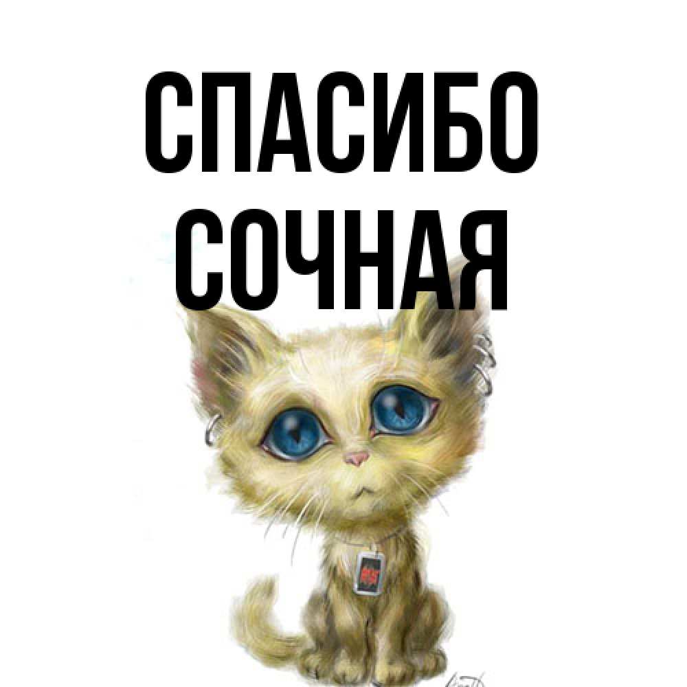 Открытка на каждый день с именем, Сочная Спасибо рисованный кот благодарит вас Прикольная открытка с пожеланием онлайн скачать бесплатно 
