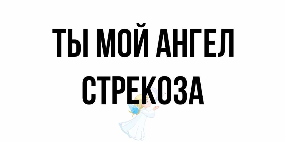 Открытка на каждый день с именем, Стрекоза Ты мой ангел ангел, голубь Прикольная открытка с пожеланием онлайн скачать бесплатно 