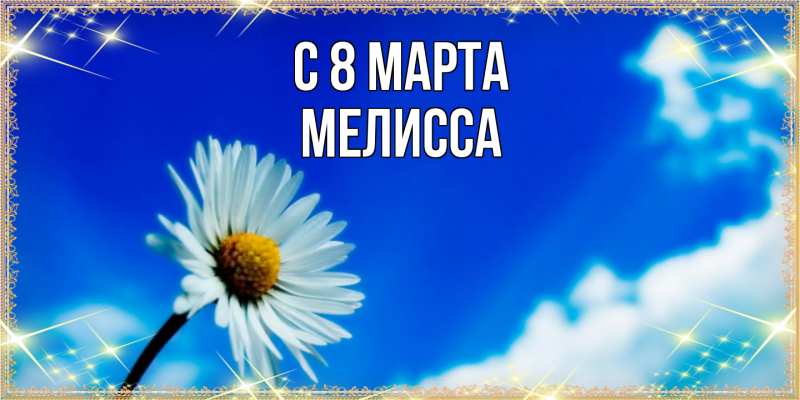 Картинка C 8 МАРТА, Мелисса