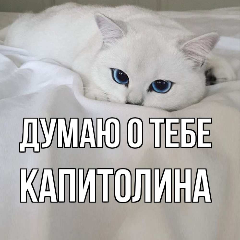 Открытка на каждый день с именем, Капитолина Думаю о тебе я очень по тебе скучаю и тоскую Прикольная открытка с пожеланием онлайн скачать бесплатно 