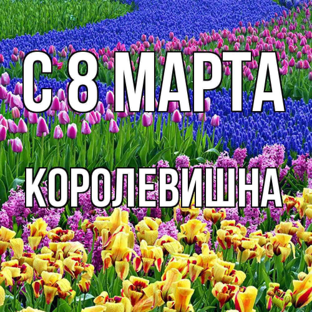 Открытка на каждый день с именем, Королевишна C 8 МАРТА цветы Прикольная открытка с пожеланием онлайн скачать бесплатно 