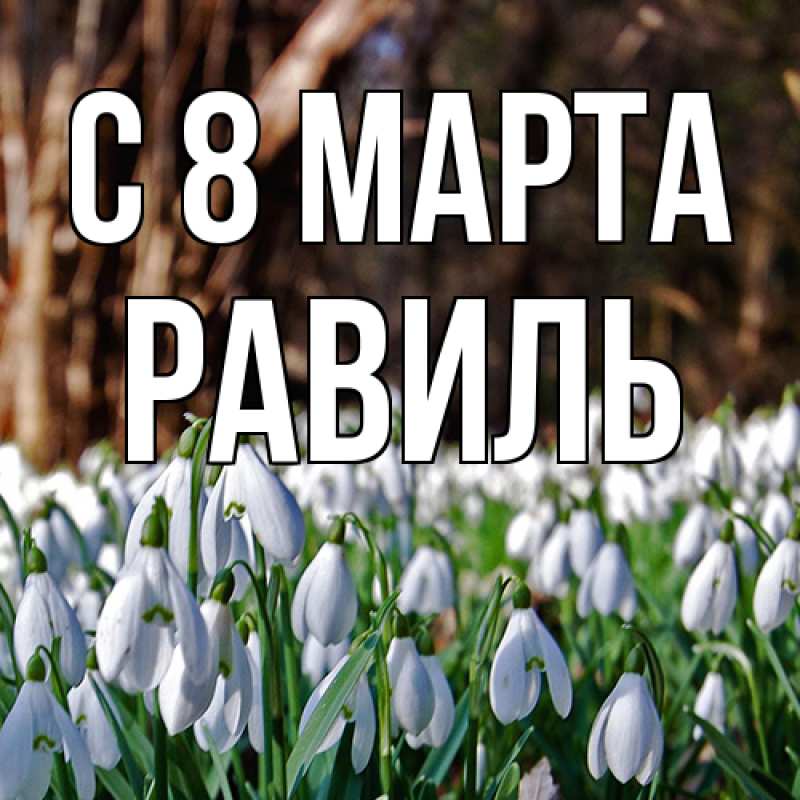 Картинка C 8 МАРТА, Равиль