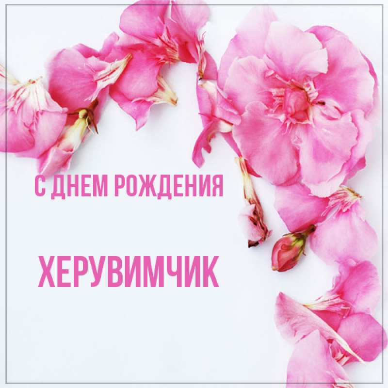 Картинка С днем рождения, херувимчик