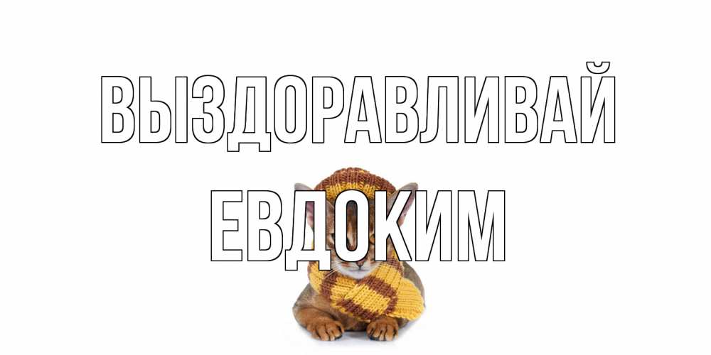 Открытка на каждый день с именем, Евдоким Выздоравливай родные не болейте Прикольная открытка с пожеланием онлайн скачать бесплатно 