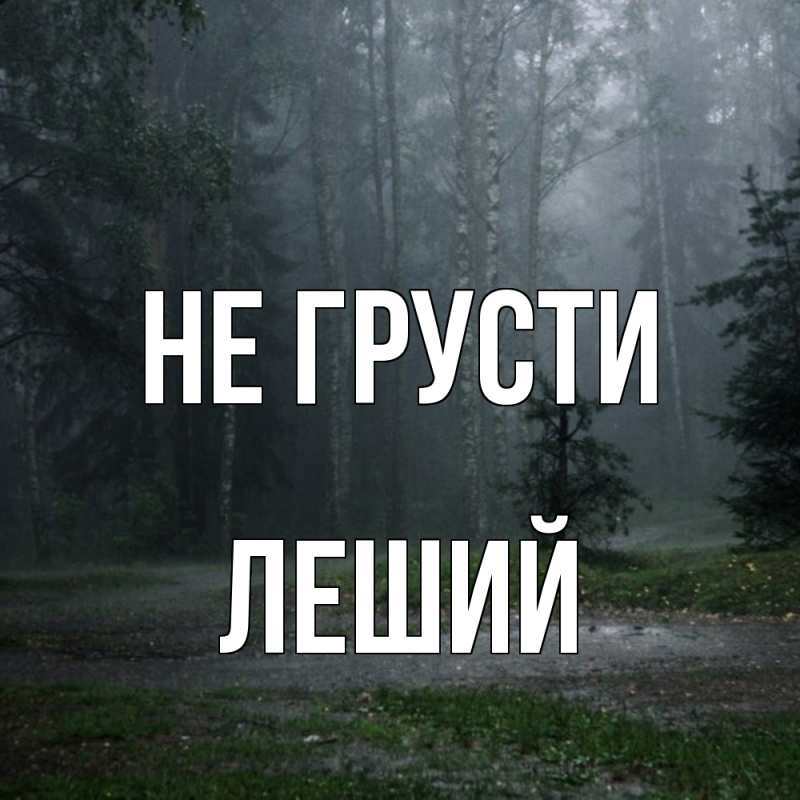 Картинка Не грусти, Леший