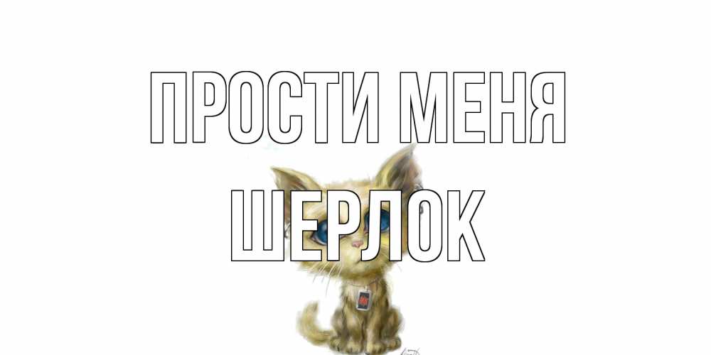 Открытка на каждый день с именем, Шерлок Прости меня прости меня открытка с котиком Прикольная открытка с пожеланием онлайн скачать бесплатно 