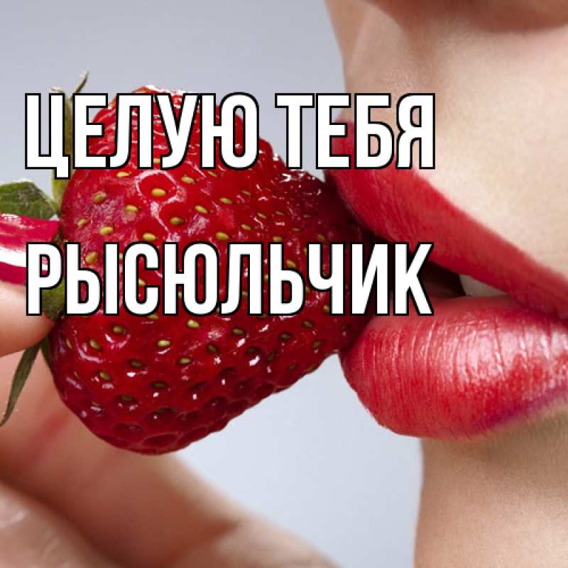 Картинка Целую тебя, Рысюльчик