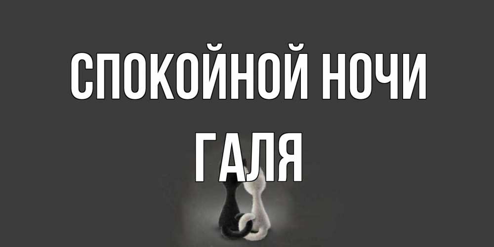 Открытка на каждый день с именем, Галя Спокойной ночи коты Прикольная открытка с пожеланием онлайн скачать бесплатно 
