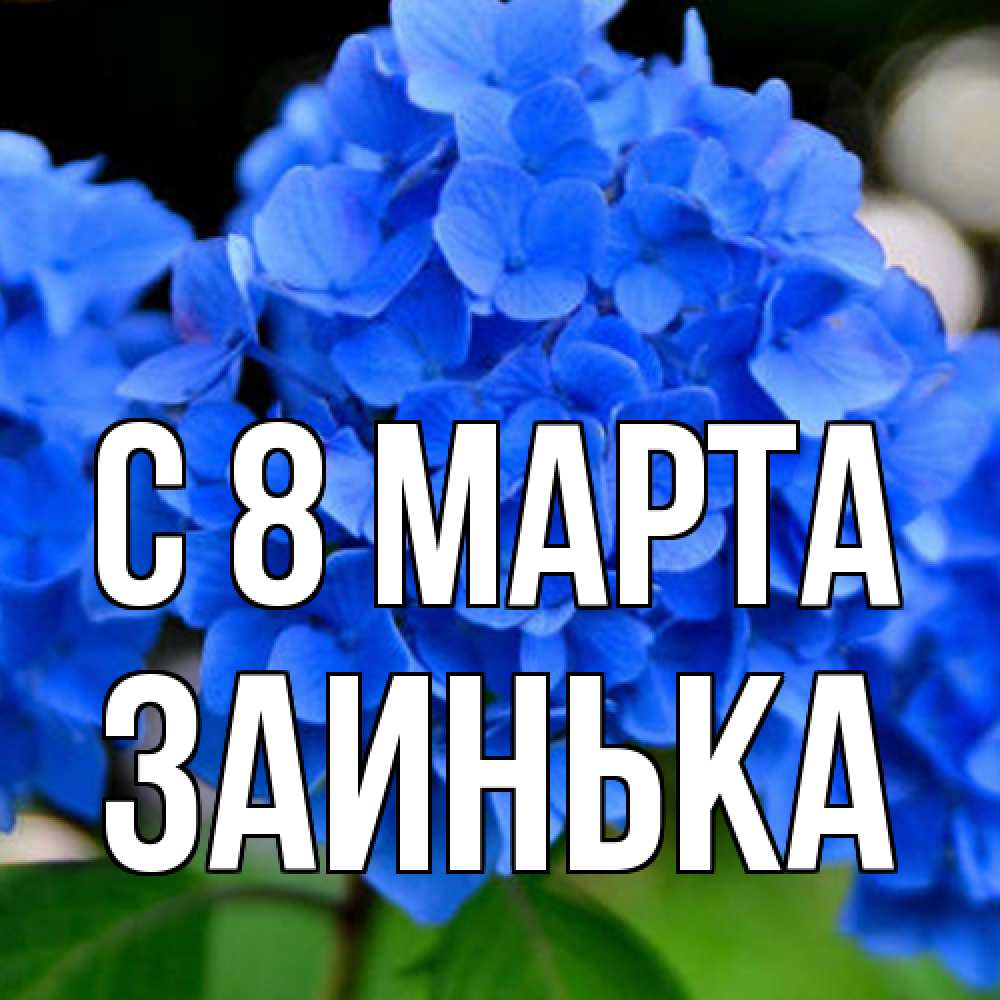 Открытка на каждый день с именем, Заинька C 8 МАРТА синие цветы Прикольная открытка с пожеланием онлайн скачать бесплатно 