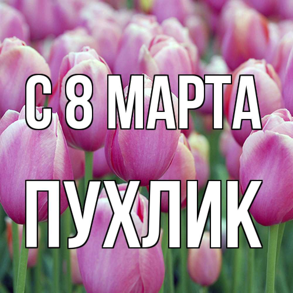 Открытка на каждый день с именем, пухлик C 8 МАРТА на международный женский день 3 Прикольная открытка с пожеланием онлайн скачать бесплатно 