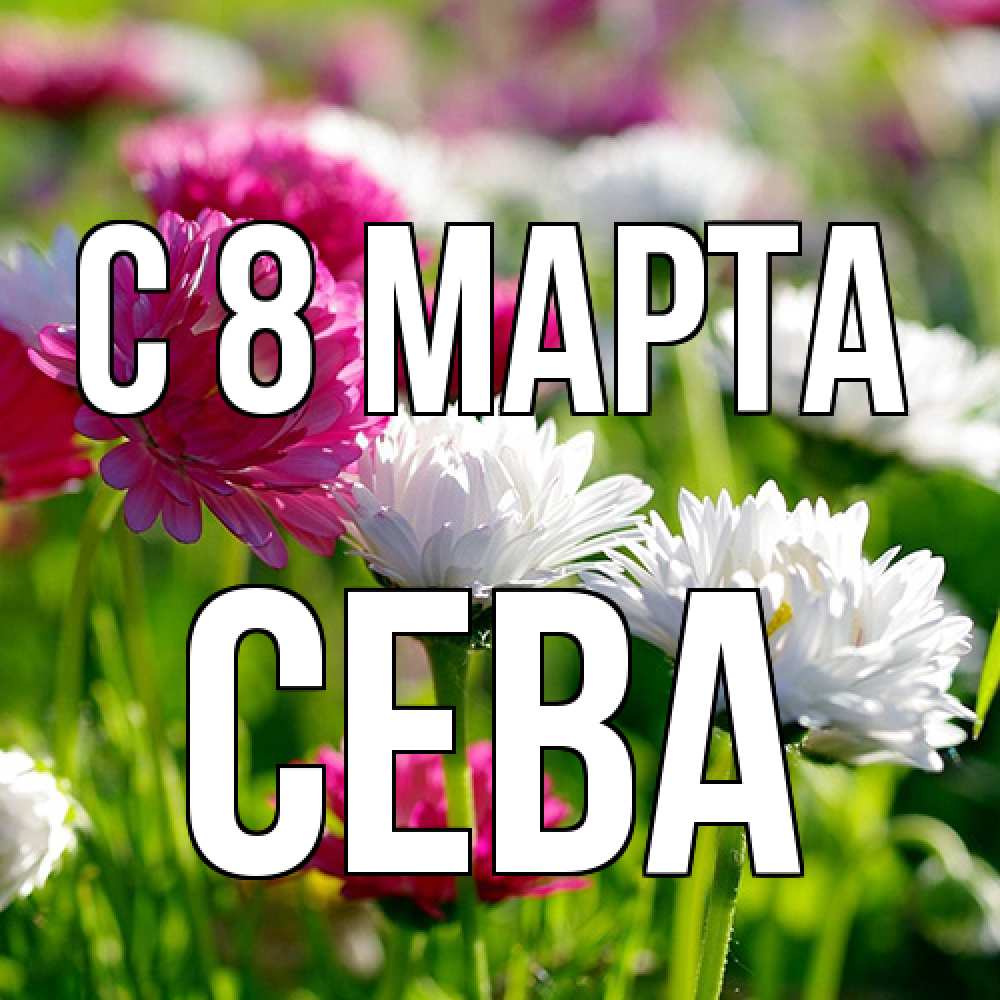 Открытка на каждый день с именем, Сева C 8 МАРТА международный женский день 1 Прикольная открытка с пожеланием онлайн скачать бесплатно 