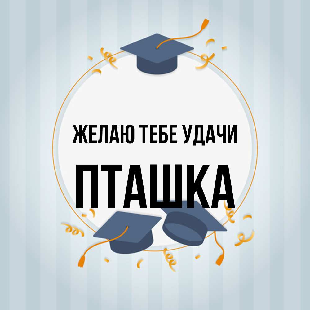 Открытка на каждый день с именем, пташка Желаю тебе удачи для студентов Прикольная открытка с пожеланием онлайн скачать бесплатно 