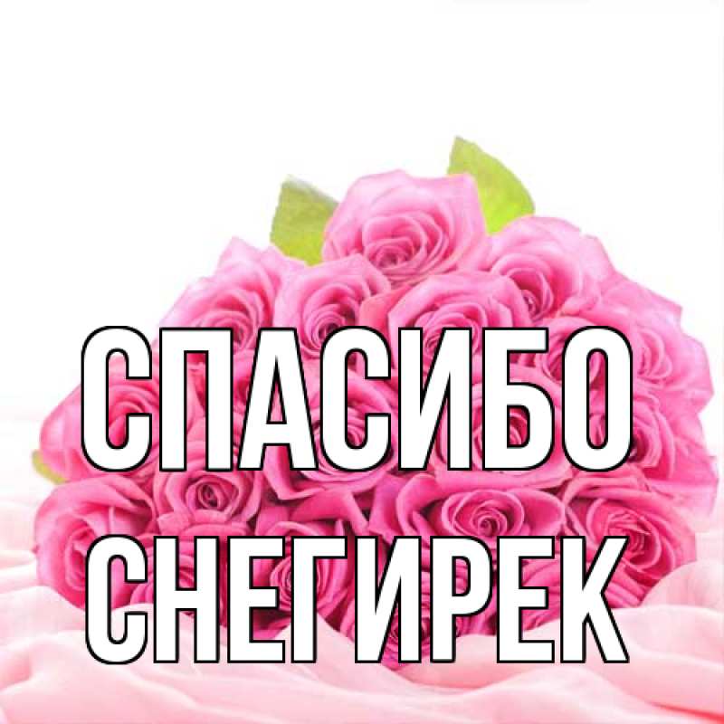 Картинка Спасибо, снегирек