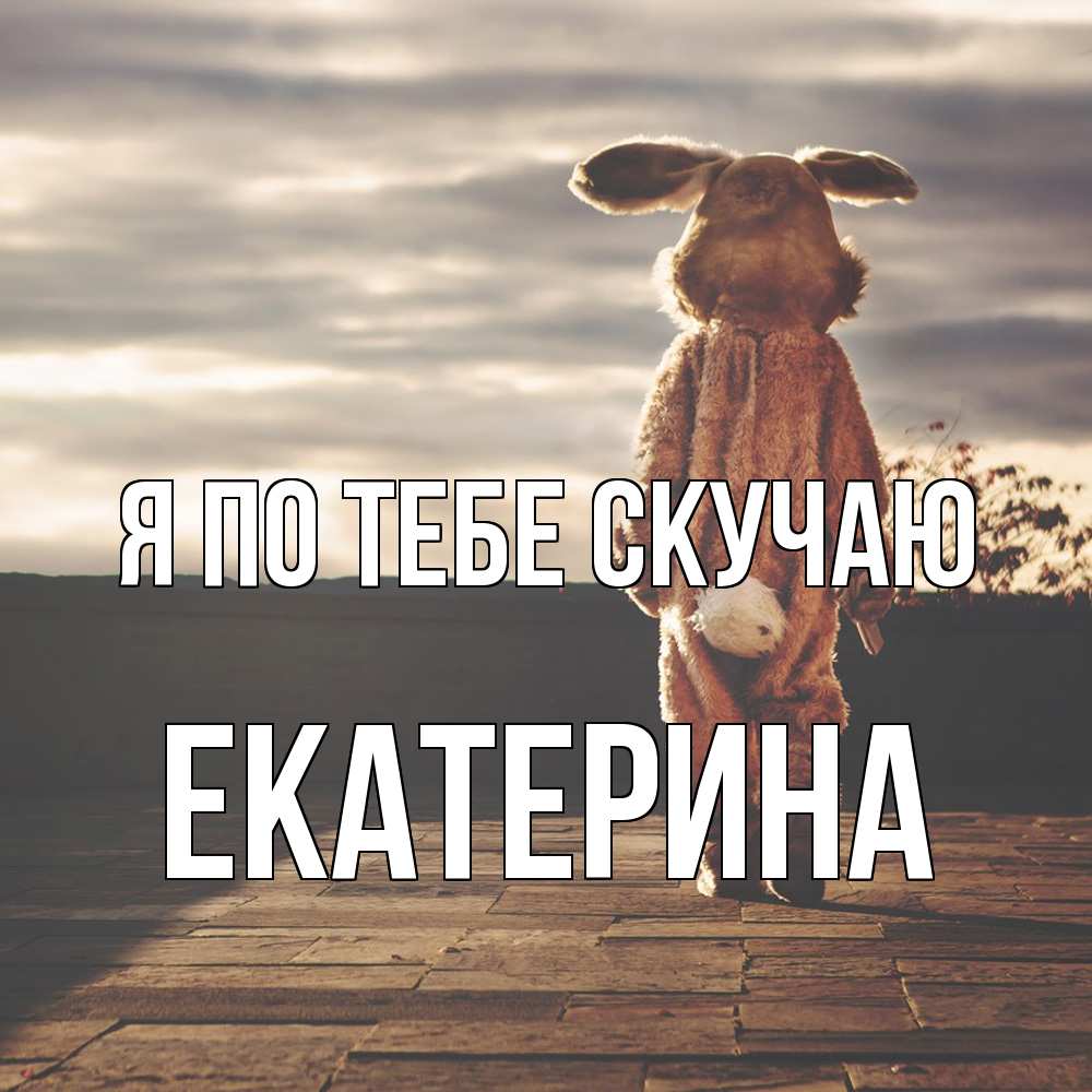 Открытка на каждый день с именем, Екатерина Я по тебе скучаю даже в костюме зайца Прикольная открытка с пожеланием онлайн скачать бесплатно 