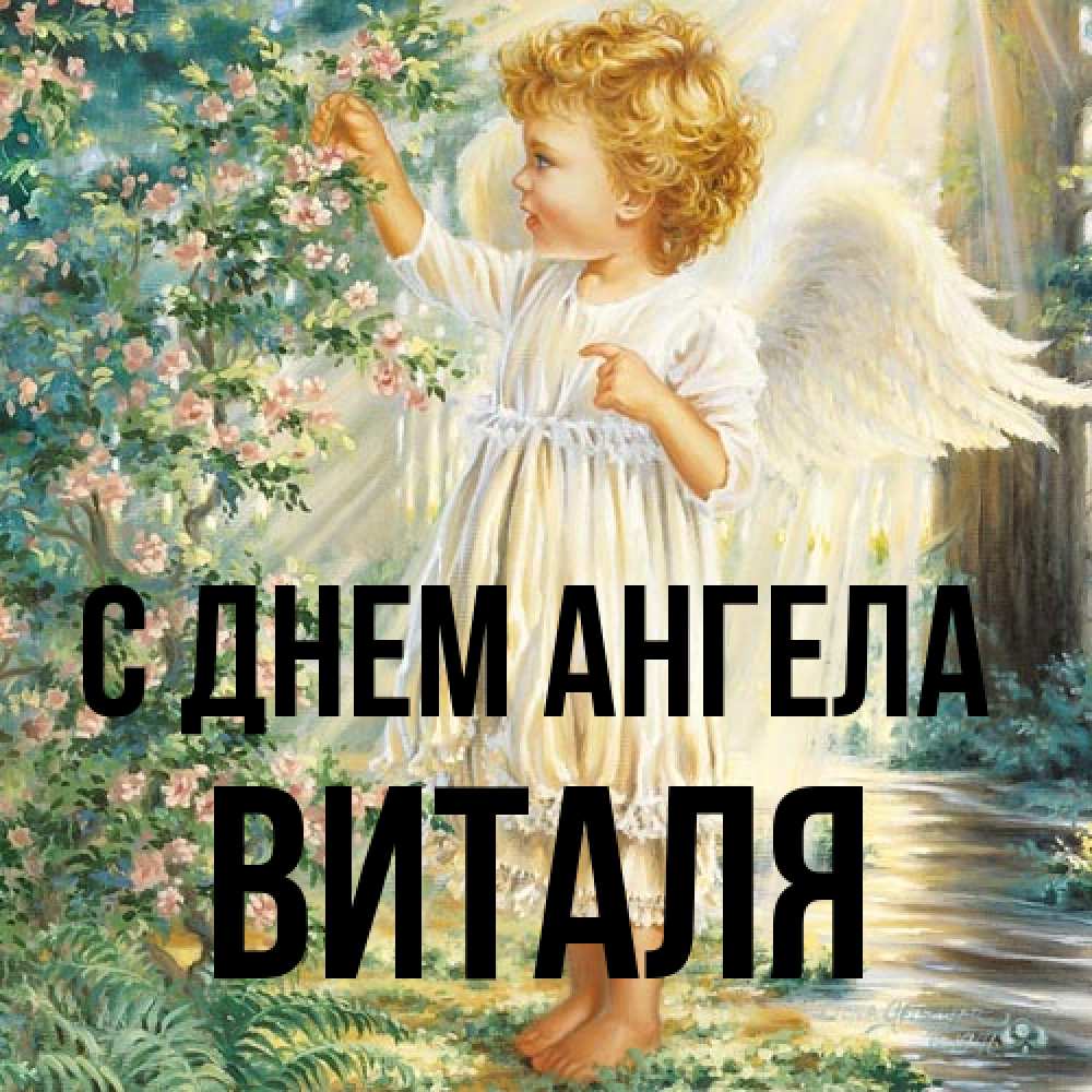 Открытка на каждый день с именем, Виталя С днем ангела собирает цветы Прикольная открытка с пожеланием онлайн скачать бесплатно 