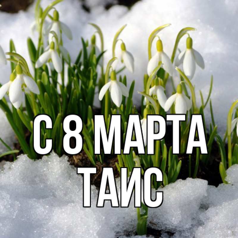 Картинка C 8 МАРТА, Таис