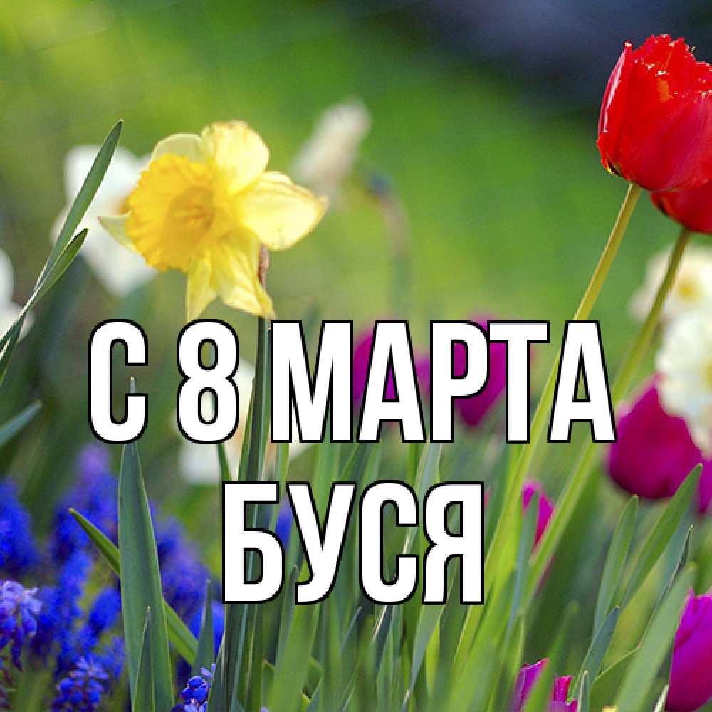 Открытка на каждый день с именем, Буся C 8 МАРТА международный женский день 3 Прикольная открытка с пожеланием онлайн скачать бесплатно 