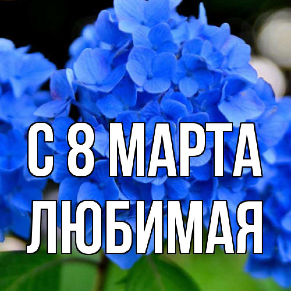 Открытка на каждый день с именем, Любимая C 8 МАРТА синие цветы Прикольная открытка с пожеланием онлайн скачать бесплатно 