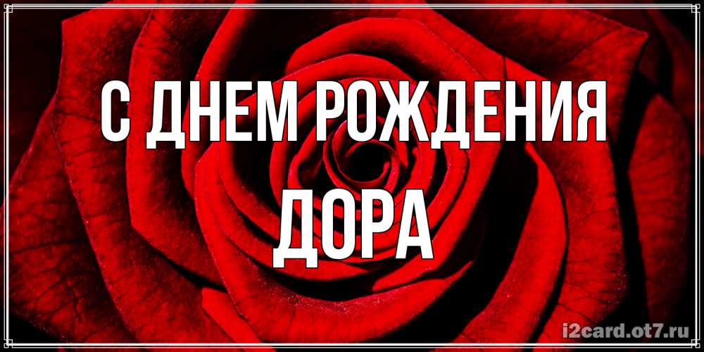 Открытка на каждый день с именем, Дора С днем рождения алая роза Прикольная открытка с пожеланием онлайн скачать бесплатно 