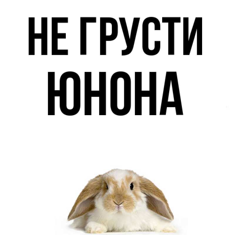 Картинка Не грусти, Юнона