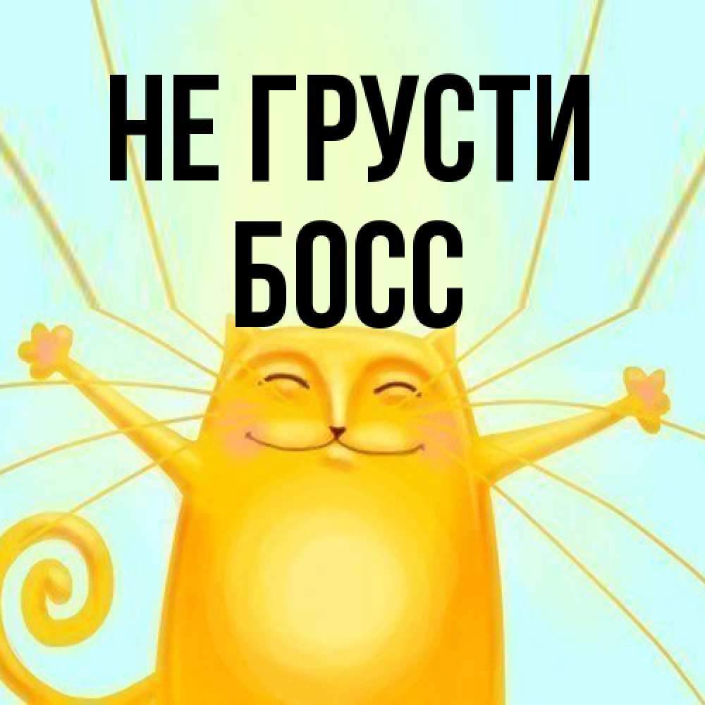Открытка на каждый день с именем, Босс Не грусти обнимашки усатые Прикольная открытка с пожеланием онлайн скачать бесплатно 