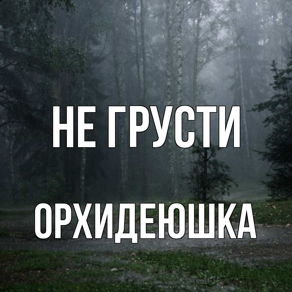 Открытка на каждый день с именем, Орхидеюшка Не грусти осень Прикольная открытка с пожеланием онлайн скачать бесплатно 