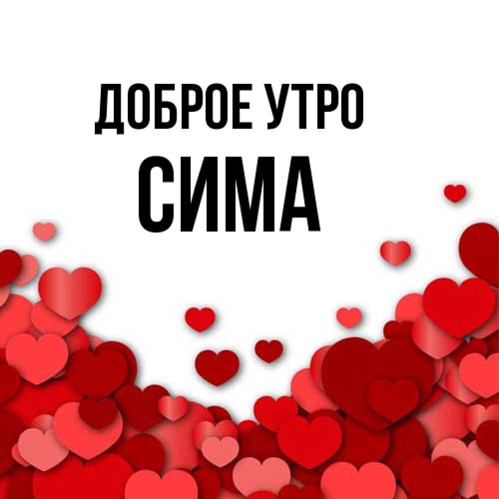 Открытка на каждый день с именем, Сима Доброе утро хорошего настроения Прикольная открытка с пожеланием онлайн скачать бесплатно 