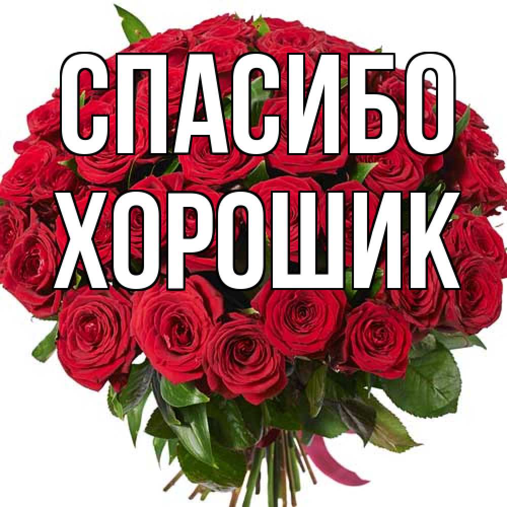 Открытка на каждый день с именем, Хорошик Спасибо букет красных роз Прикольная открытка с пожеланием онлайн скачать бесплатно 