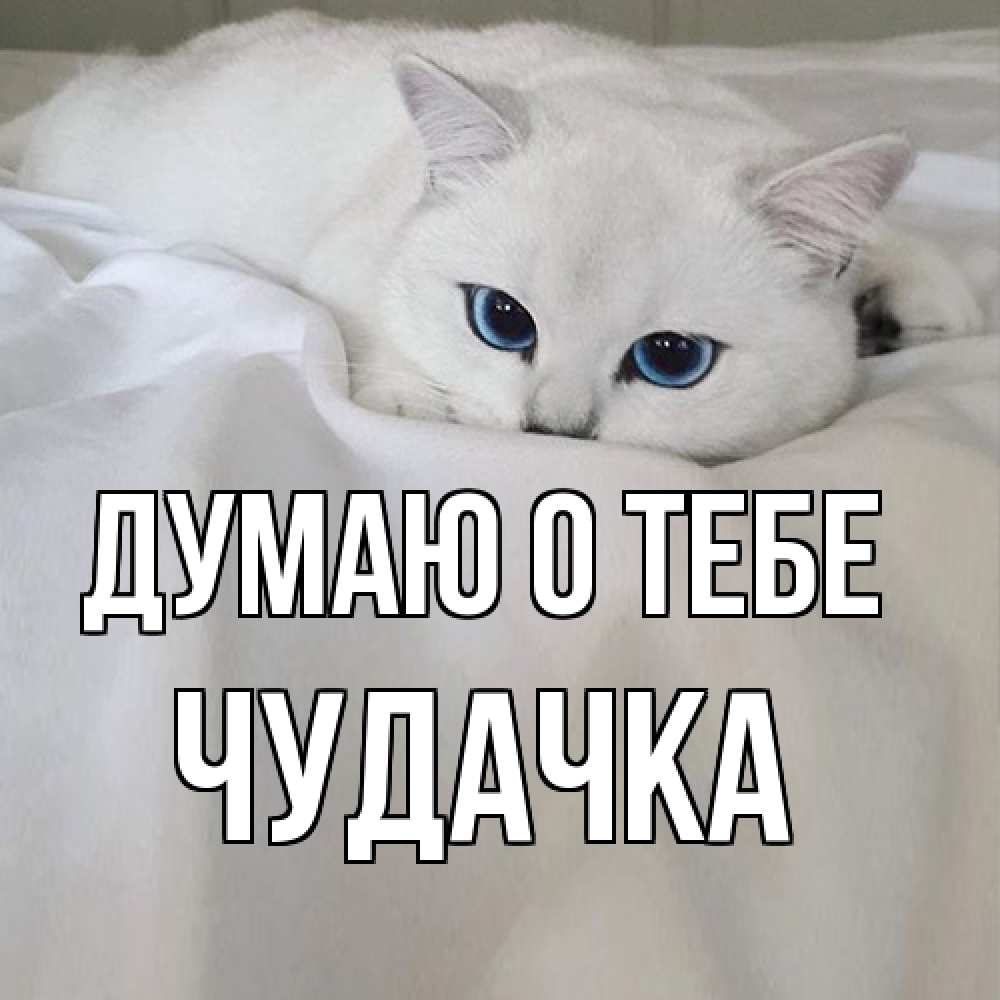 Открытка на каждый день с именем, Чудачка Думаю о тебе я очень по тебе скучаю и тоскую Прикольная открытка с пожеланием онлайн скачать бесплатно 