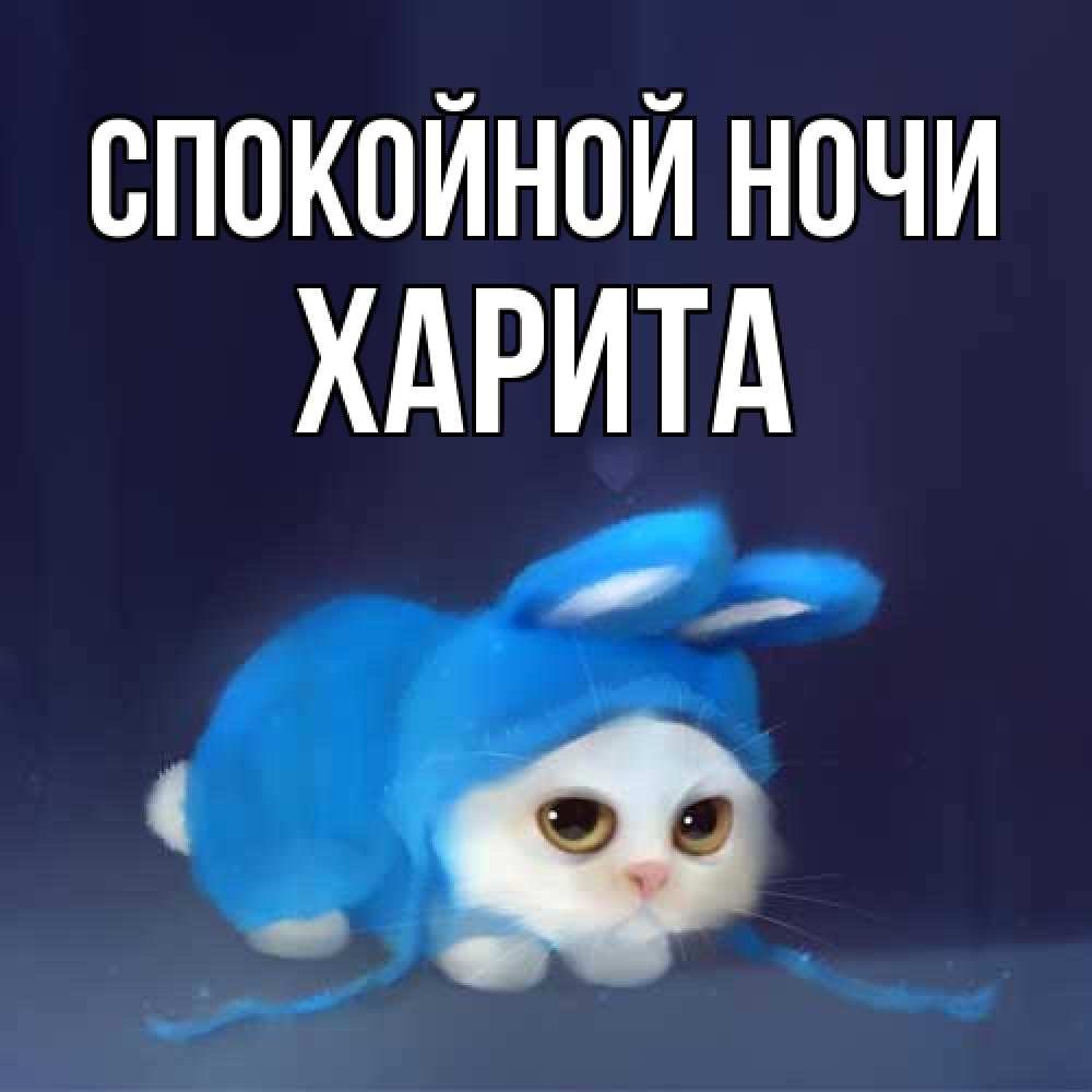 Открытка на каждый день с именем, Харита Спокойной ночи кот в голубом костюме кролика с ушками Прикольная открытка с пожеланием онлайн скачать бесплатно 