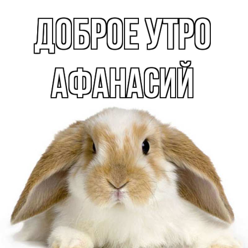 Картинка Доброе утро, Афанасий