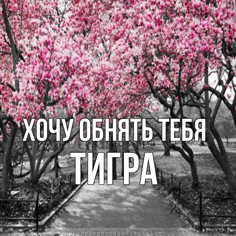 Картинка Хочу обнять тебя, Тигpа