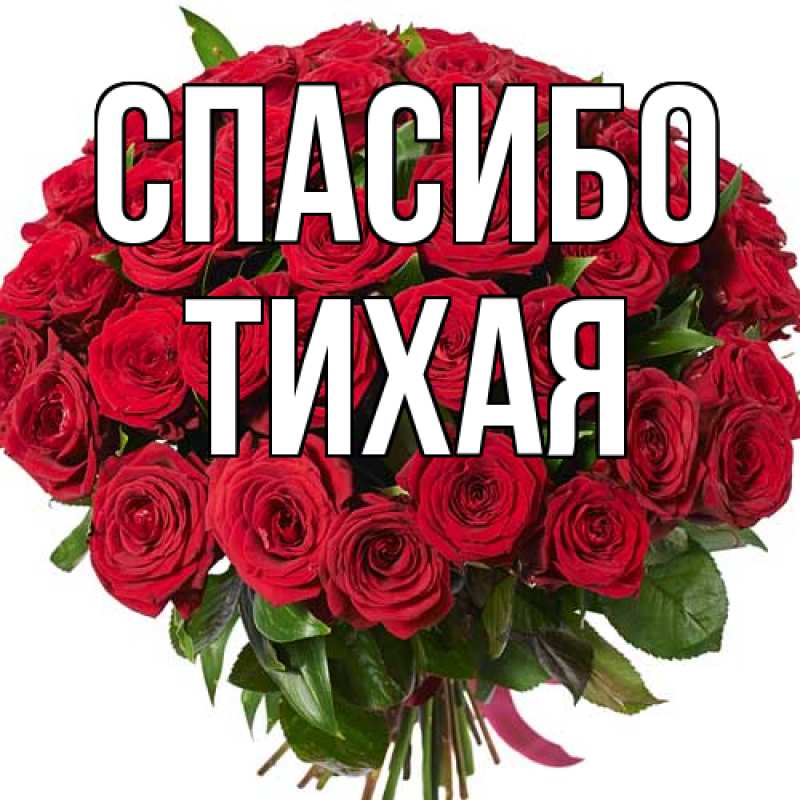 Картинка Спасибо, Тихая
