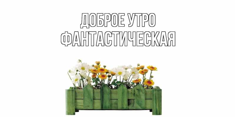 Картинка Доброе утро, Фантастическая