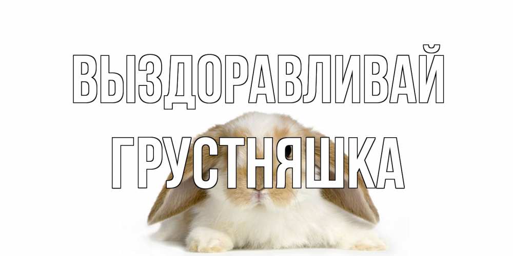 Открытка на каждый день с именем, Грустняшка Выздоравливай вислоухий кролик белого и коричневого цвета Прикольная открытка с пожеланием онлайн скачать бесплатно 