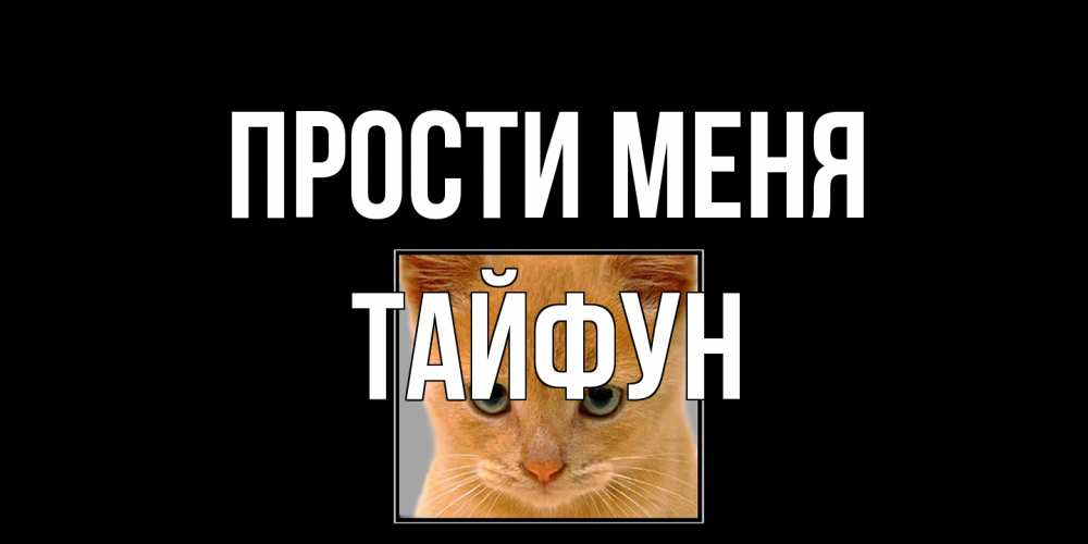 Открытка на каждый день с именем, Тайфун Прости меня рыжий грустный кот просит прощения Прикольная открытка с пожеланием онлайн скачать бесплатно 