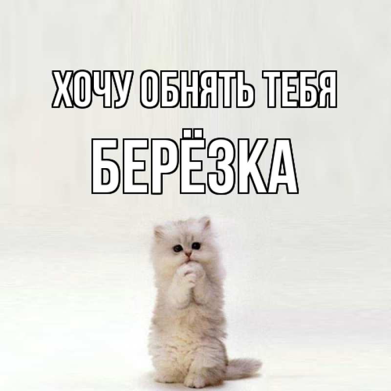 Картинка Хочу обнять тебя, Берёзка