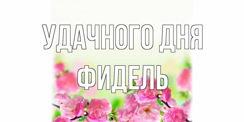 Открытка на каждый день с именем, Фидель Удачного дня цветы Прикольная открытка с пожеланием онлайн скачать бесплатно 