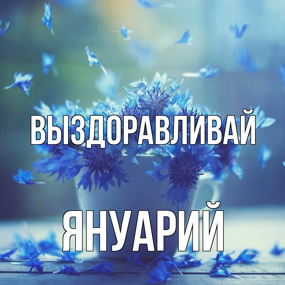 Открытка на каждый день с именем, Януарий Выздоравливай кружка с зельем и цветами Прикольная открытка с пожеланием онлайн скачать бесплатно 