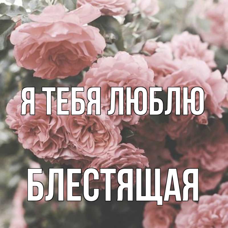 Картинка Я тебя люблю, блестящая