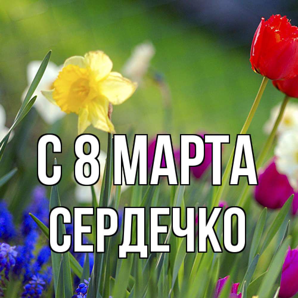 Открытка на каждый день с именем, сердечко C 8 МАРТА международный женский день 3 Прикольная открытка с пожеланием онлайн скачать бесплатно 